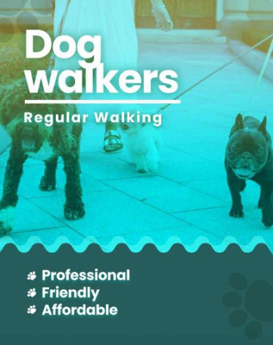 Dog walking Jaipur